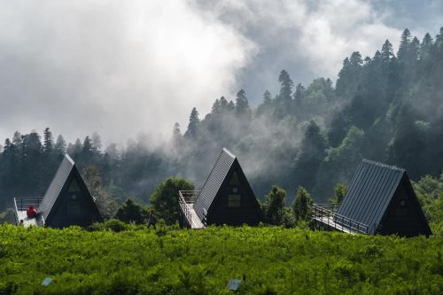 Эксклюзивное летнее комбо - «В горы с комфортом»